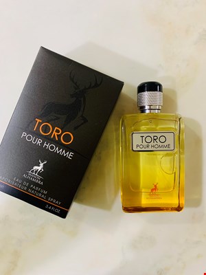 ادکلن تق هرمس الحمبرا | Hermes Terre d’Hermes Alhambra | Toro Pour Homme